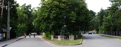 Czy las jest nam potrzebny i dlaczego