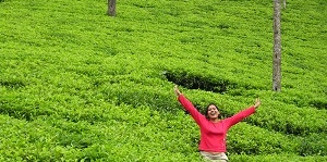 greenary