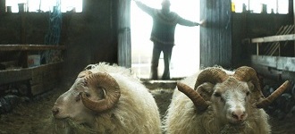 BARANY. ISLANDZKA OPOWIEŚĆ 