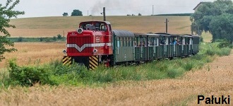 Pałuki jak Toskania lub Prowansja