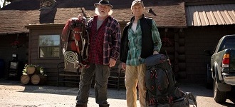 PIKNIK Z NIEDŹWIEDZIAMI | A WALK IN THE WOODS