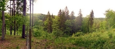 Najpiękniejsze trasy nordic walking w Polsce