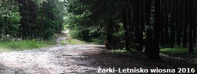 Niebezpieczne kleszcze