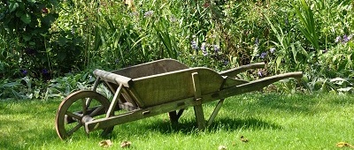 Kary za zaniedbane ogródki działkowe