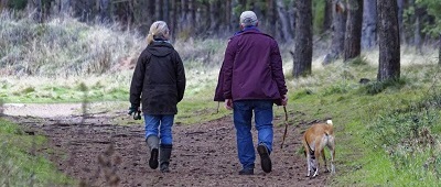 Aktywny wypoczynek seniora jesienią