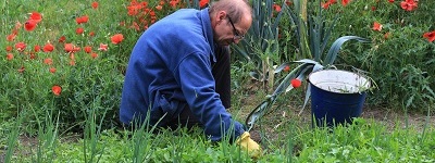 Przedjesienne porządki w ogrodzie 