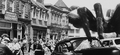 TARANTULA film USA z 1955