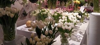 VIII Wystawa Tulipanów