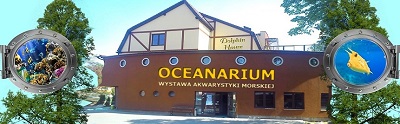 Akademia Seniora Leba