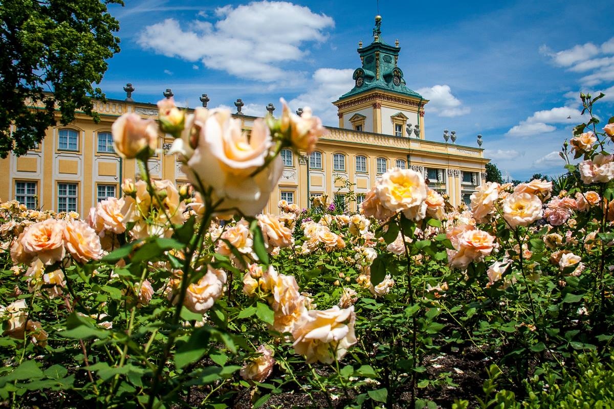 Bezpłatne warsztaty zapachowe dla dorosłych