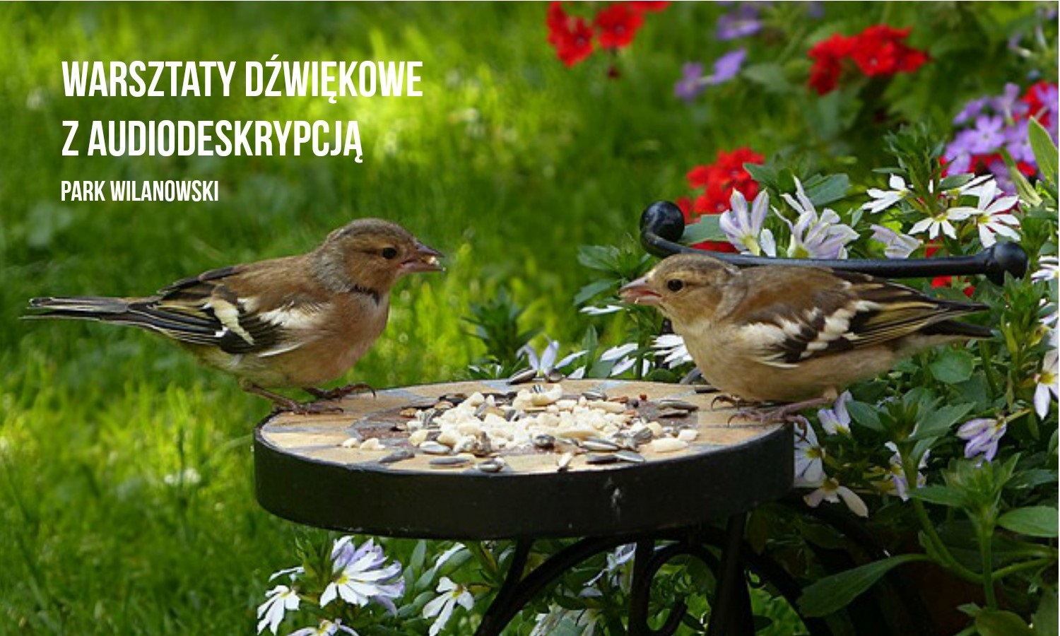 Warsztaty dźwiękowe dla dorosłych