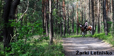 Ukojenie nerwów wśród zieleni