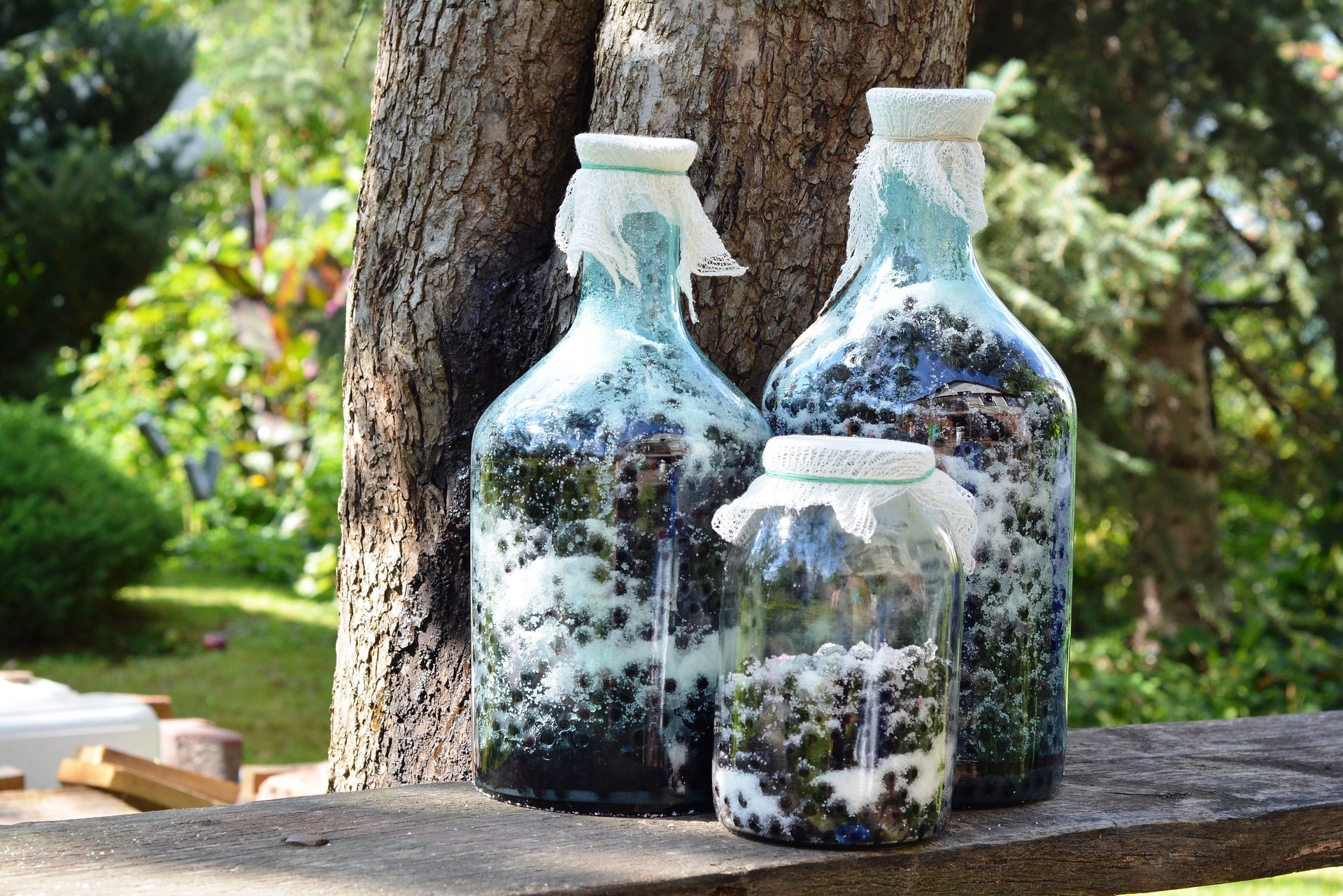 Aronia lekiem dla sercowców