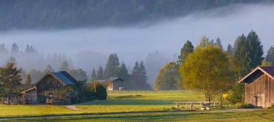 Zalety wiejskiego życia