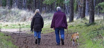 Dodaj sobie energii na wiosnę