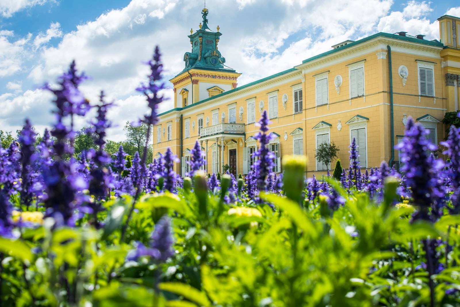 Wilanowski Ogród Różany