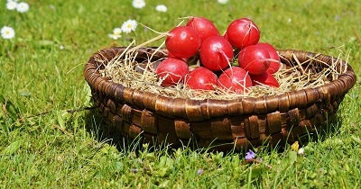 Rzemiosło żywieniowe – powrót do pysznego jedzenia.