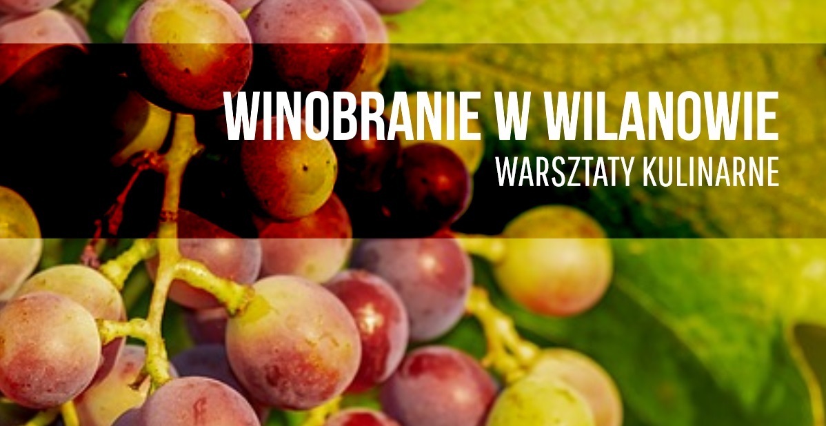 Zapraszamy na Winobranie 