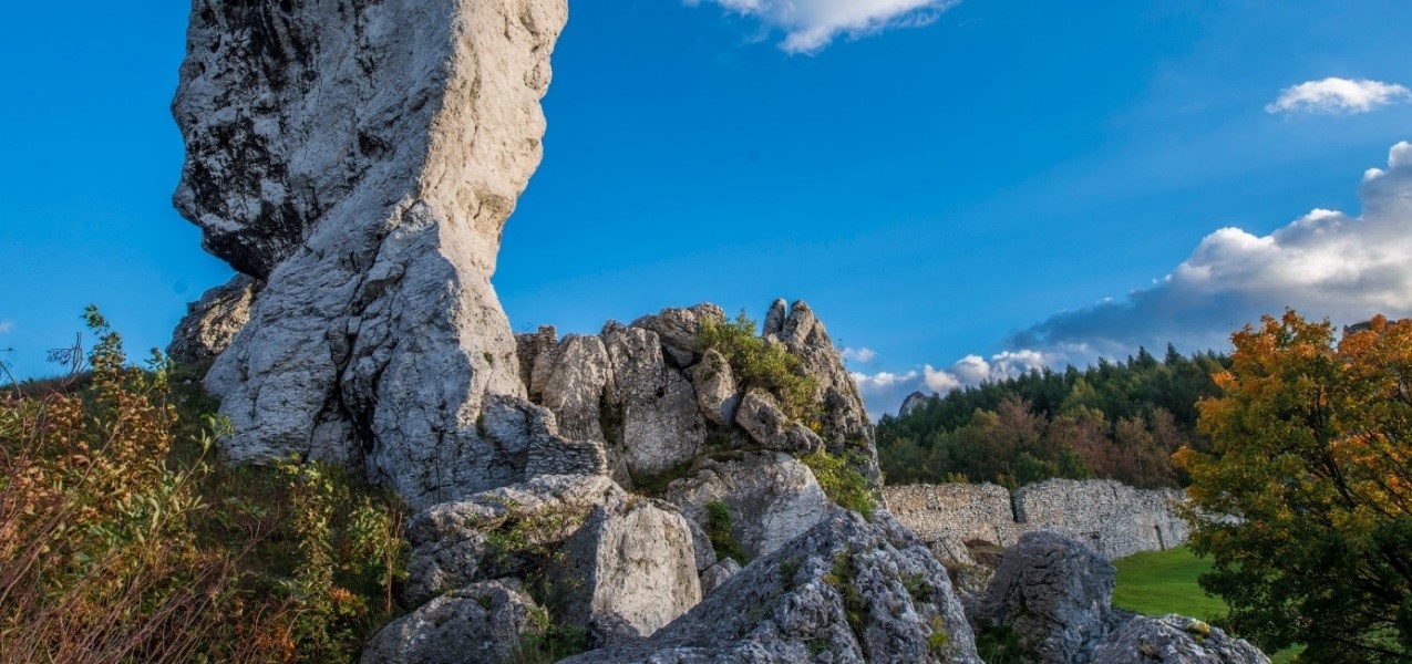 Woda Jurajska z Postępu