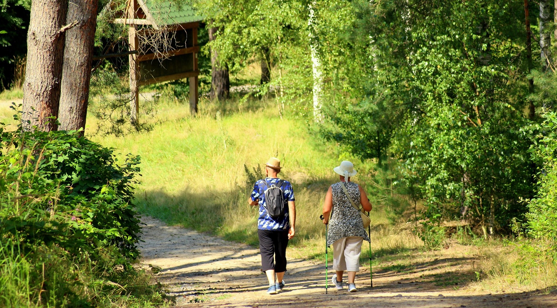 Aktywność sportowa Seniorów