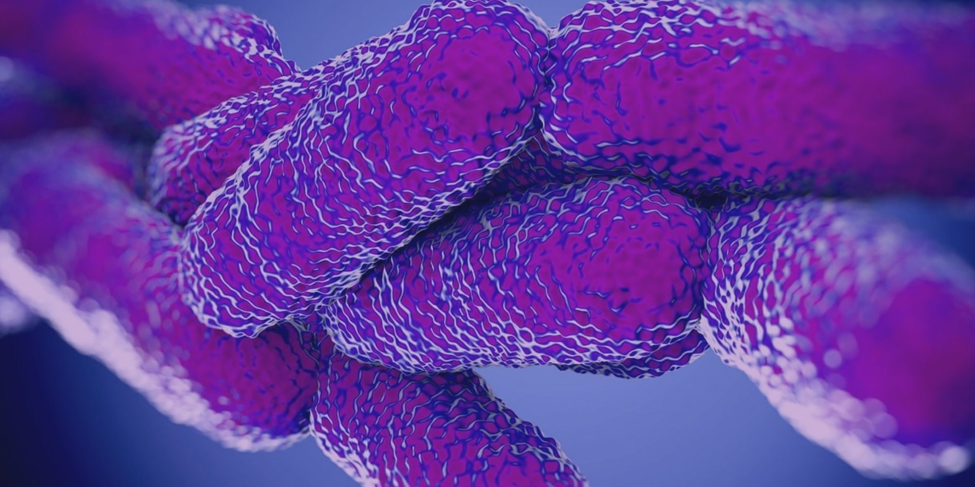 Bakteria Legionella w instalacjach budynkowych. 