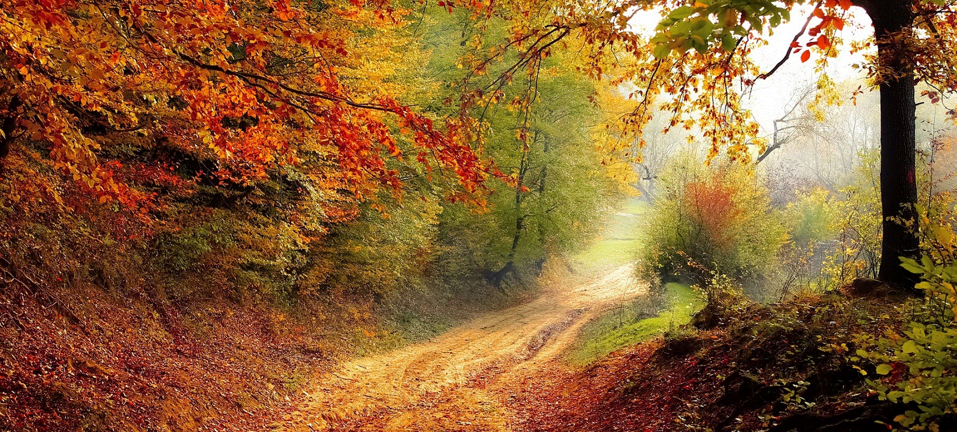 Jesienią o jesieni życia.