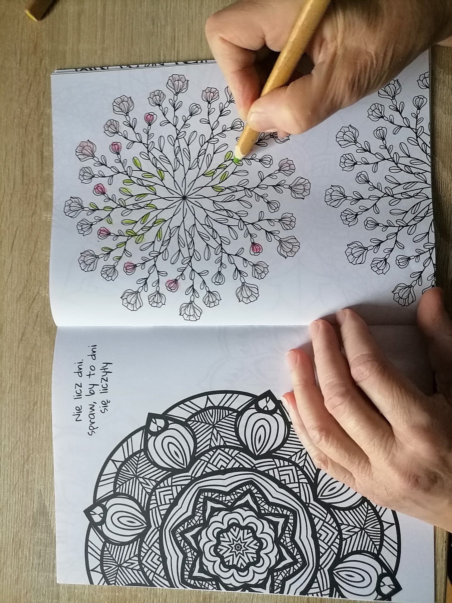 mandala 2