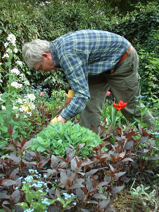 Pracę w ogródku czas zacząć