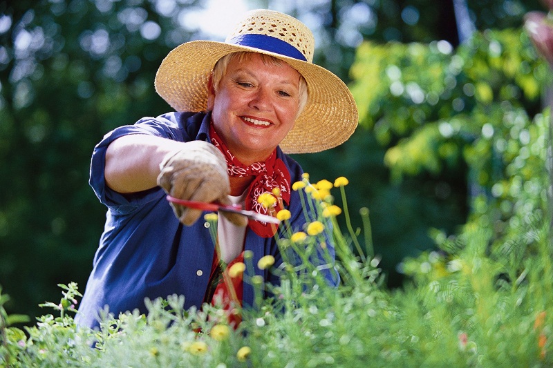 Nastaw się na ruch i dbaj o stawy!