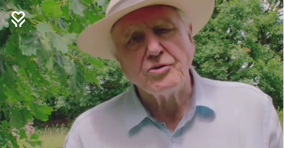 David Attenborough kończy 100 lat. Jaki jest jego sekret długowieczności?